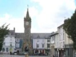 Have your say on the future of street trees in Machynlleth